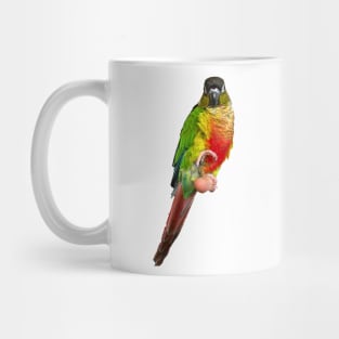 Conure Parrot Bird design | Green cheek | Love for birds Mug